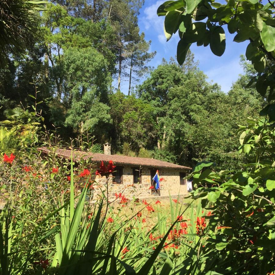 O Muino Da Balsina Villa Toiriz Kültér fotó