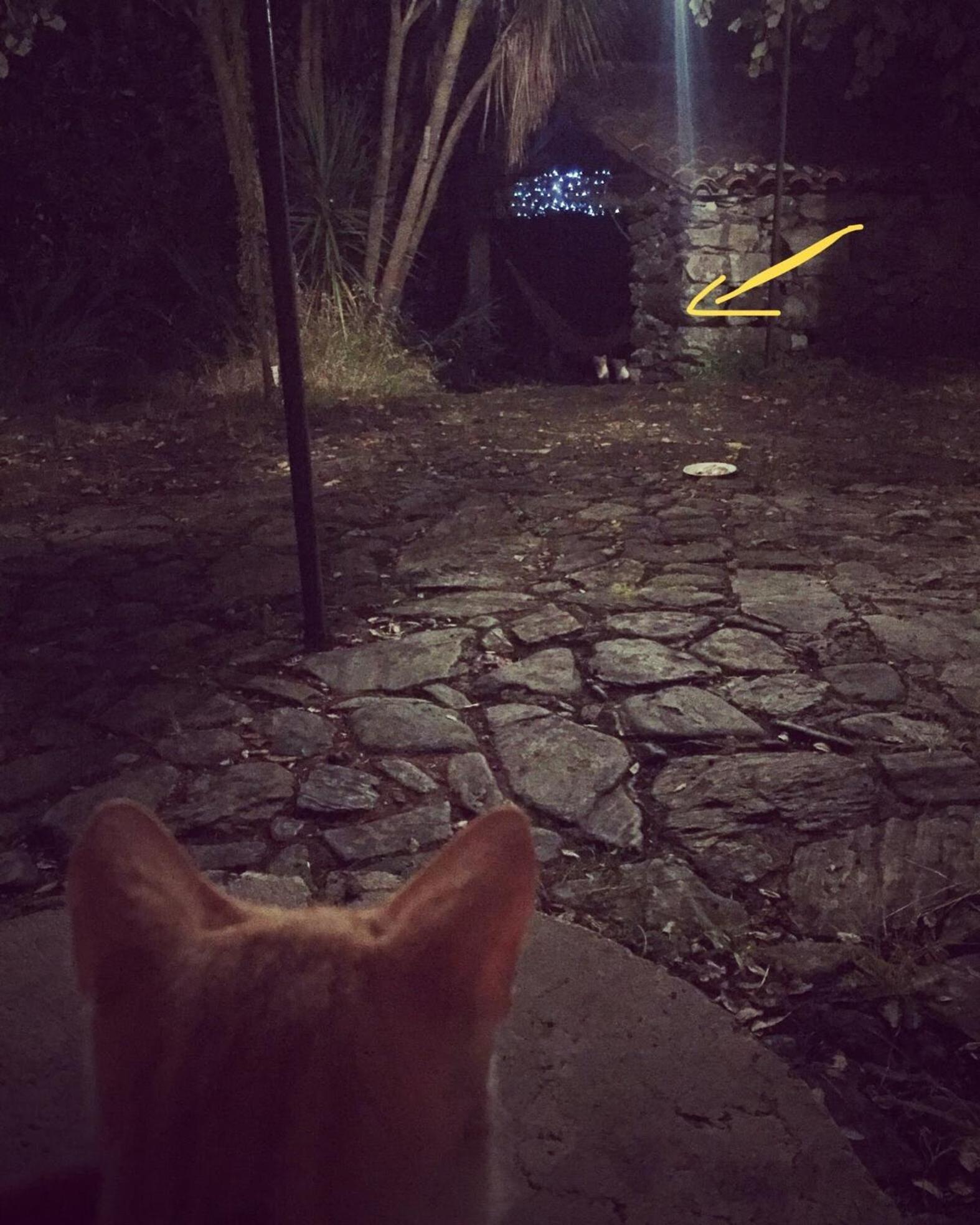 O Muino Da Balsina Villa Toiriz Kültér fotó